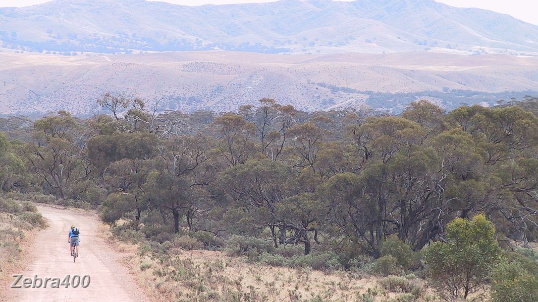 16-Downhill MTBing is fun in the Flinders Ranges.JPG